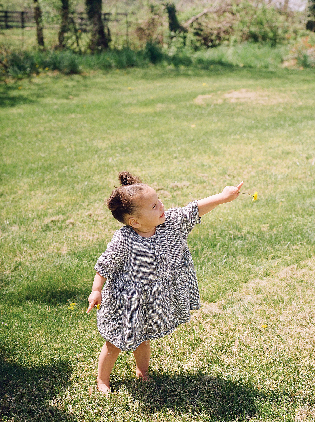 A toddler girl in a striped dress holding a flower