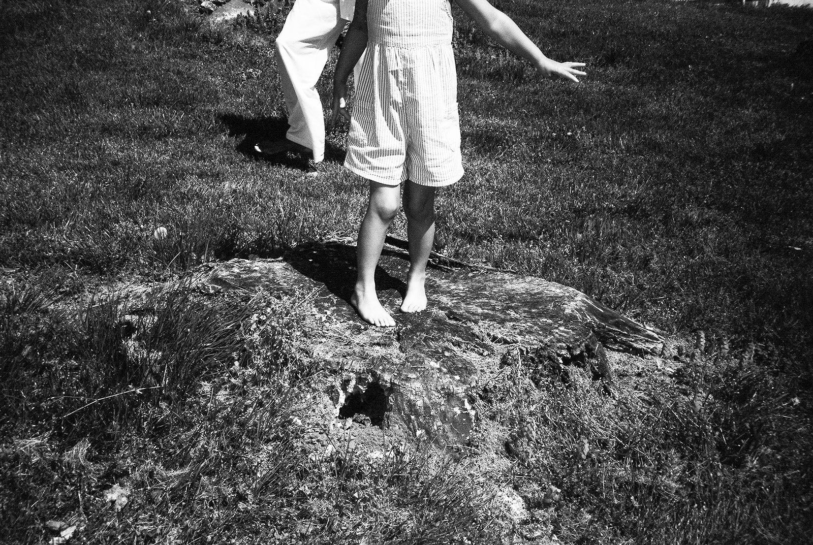 A young girl stands on a cut tree trunk 