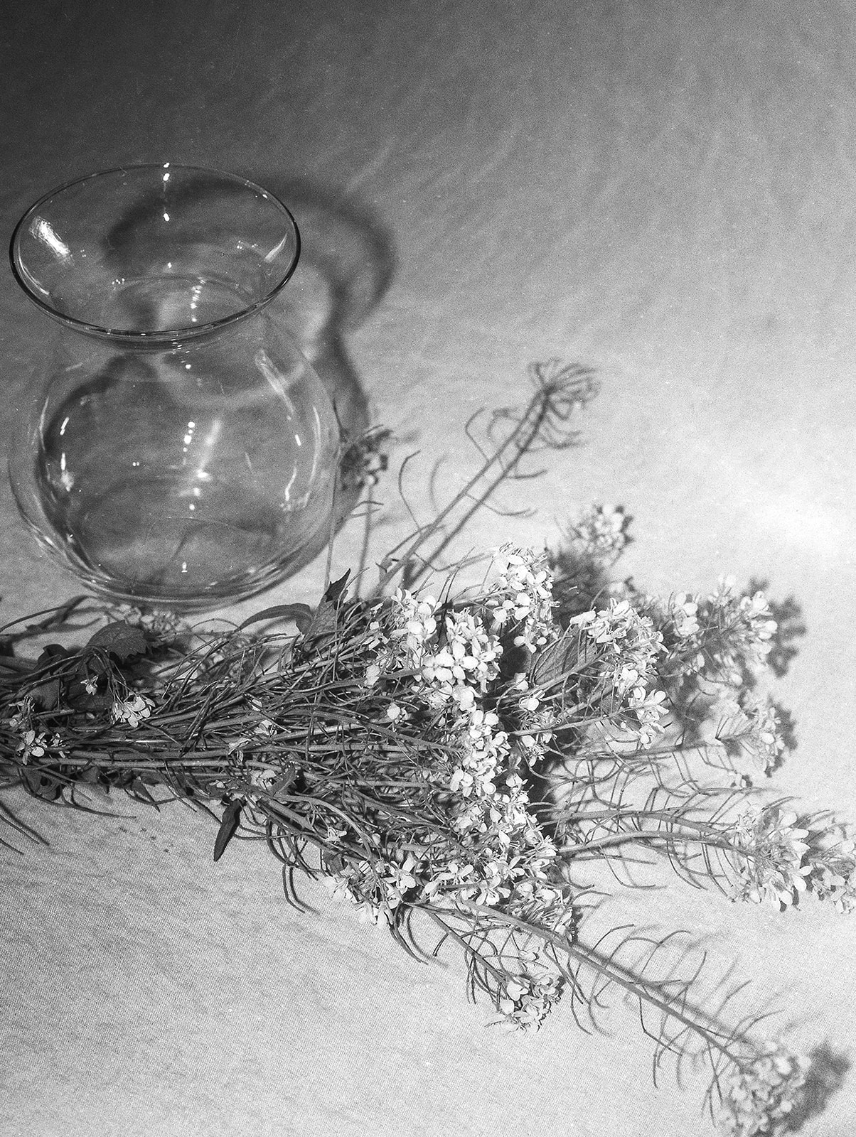 A black and white film photo of wildflowers lying on a tablecloth beside an empty vase