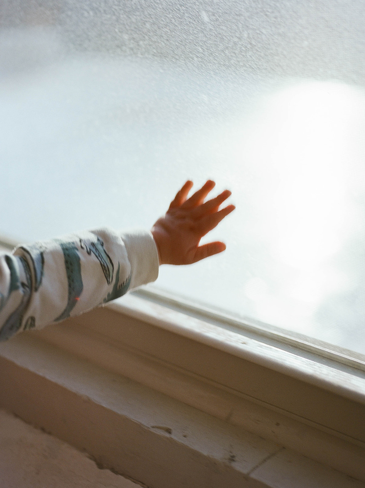 A baby puts his hand on the glass of a large window