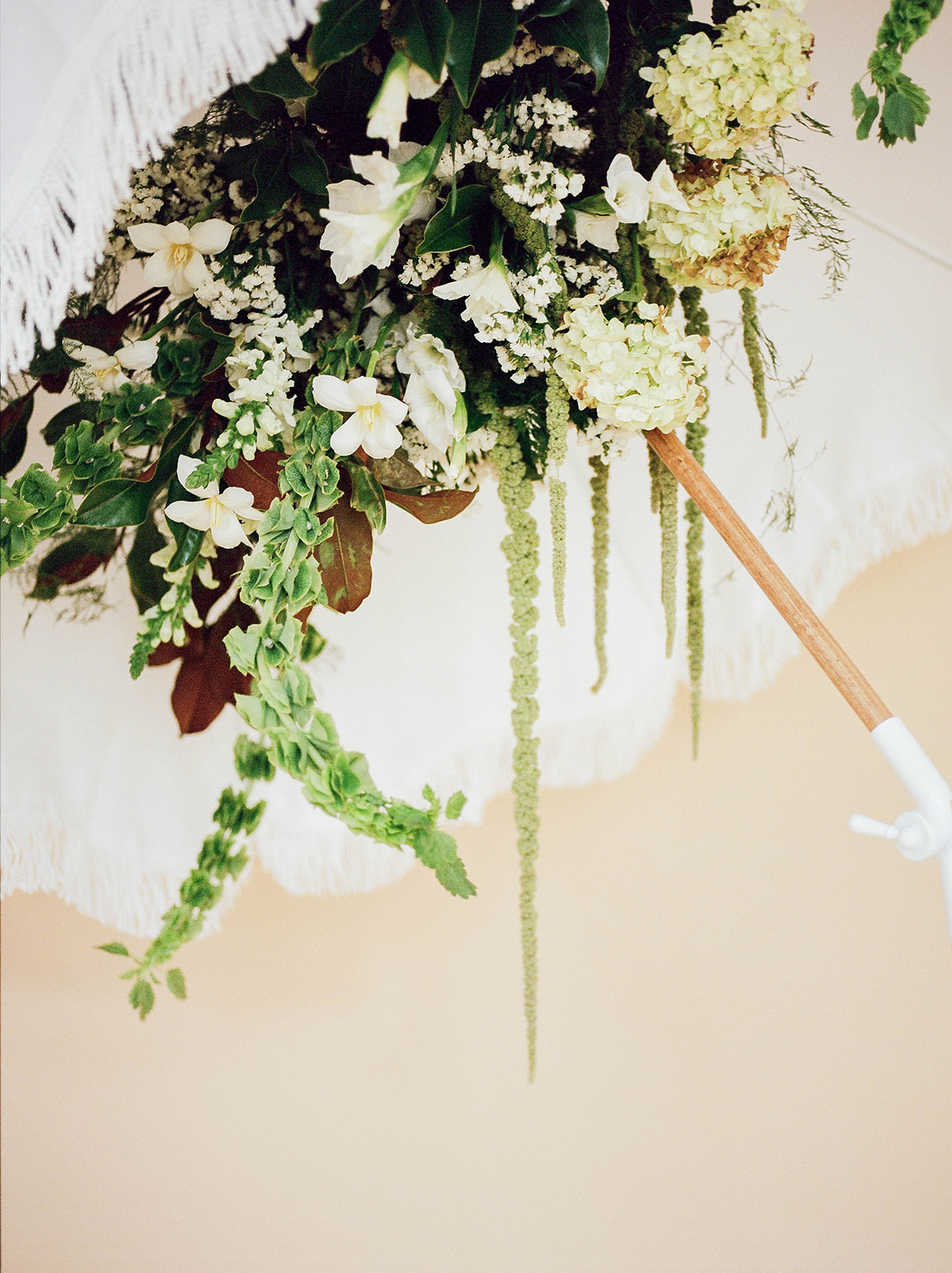 Umbrellas with trailing Amaranthus inside