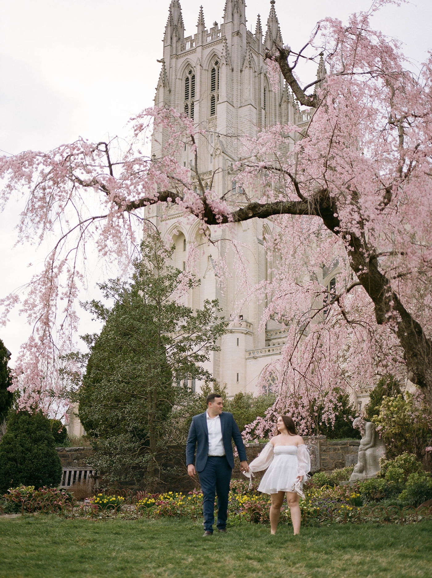 An engaged couple standing beneath a blooming cherry tree beside the National Cathedral 