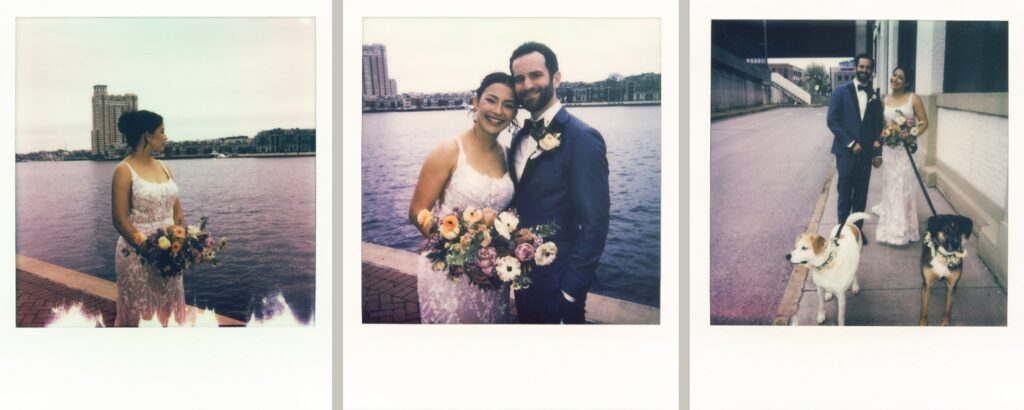 Polaroids of a bride and groom walking their dogs outside of the Baltimore Marriott Waterfront