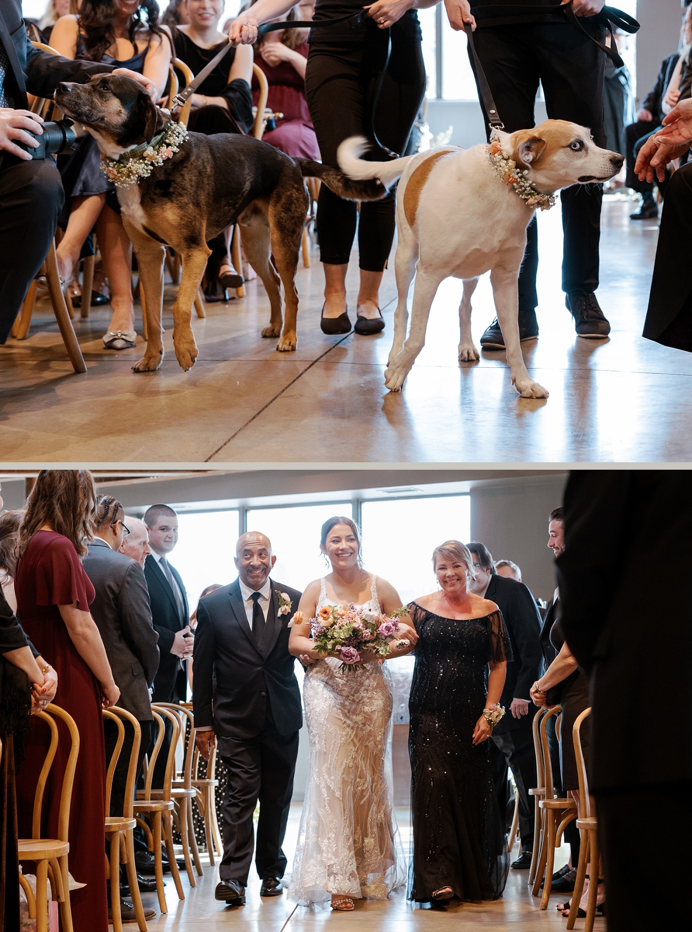 A couple's dogs walk down the aisle at the Winslow Baltimore